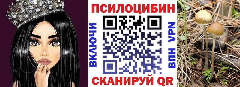 Галлюциногенные грибы мицелий  Шимановск 